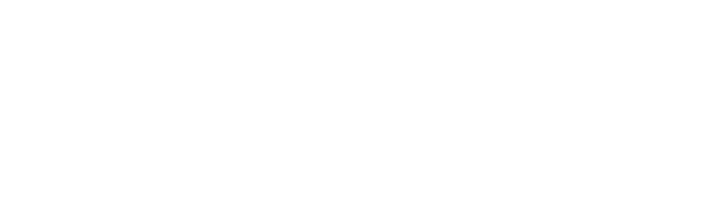 RaiNews